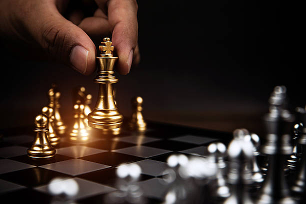 Expert Chess Tutors Online in Beau Basin Rose Hill