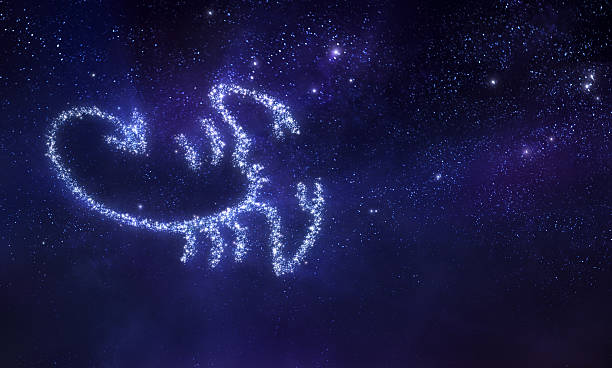 Best Online Astrologer in South Africa