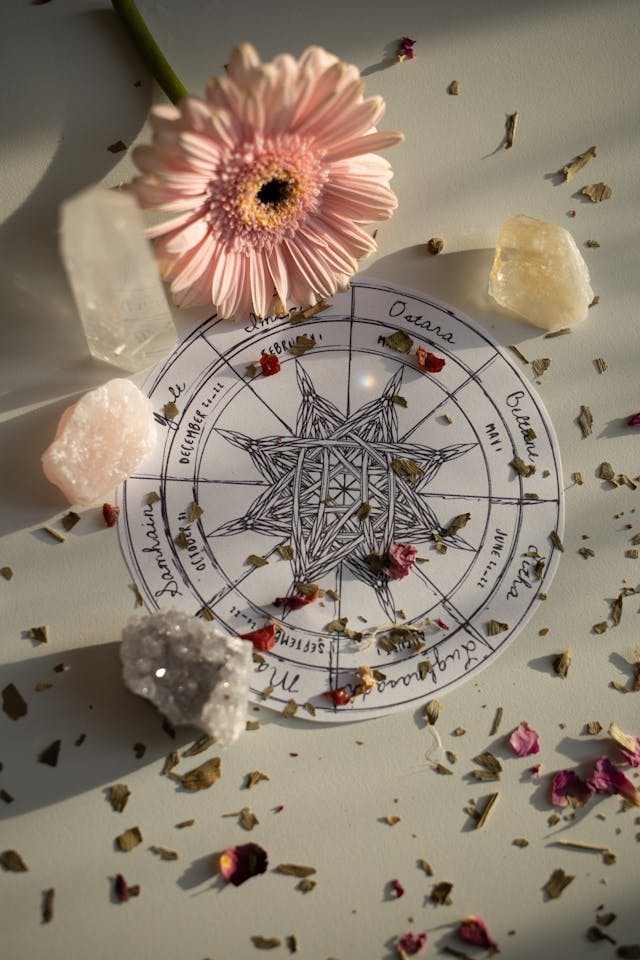 Best Astrologer in Toronto Canada Near Me