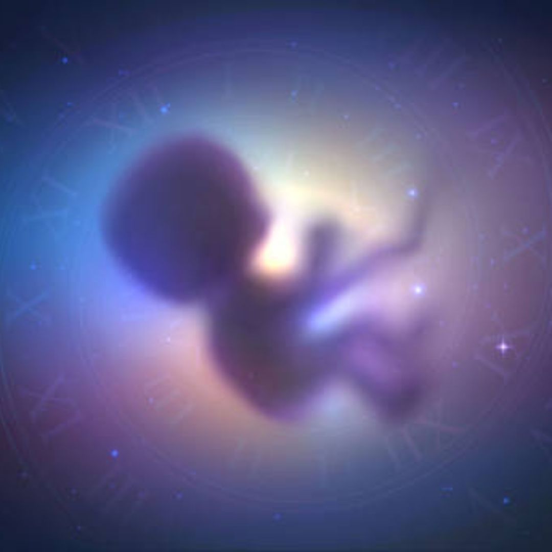 How can we predict a child birth via vedic astrology