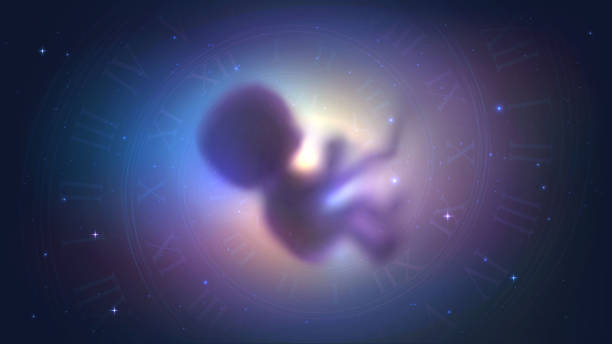 How to Predict Baby Birth Astrology