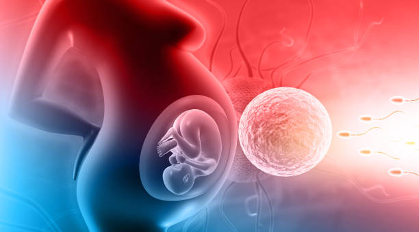 when will i get married astrology calculator online